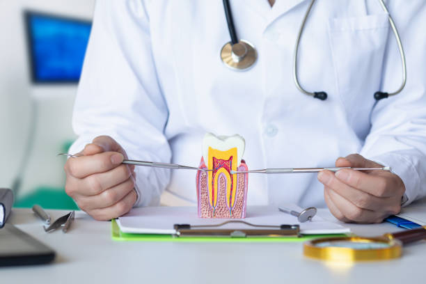 Best Emergency Dental Care for Broken or Chipped Teeth in Mount Vista, WA